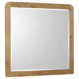 Robyn Dresser Mirrors
