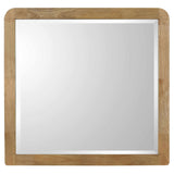 Robyn Dresser Mirrors