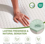 Veyra Cooling Gel Memory Foam Mattress – Medium Plush