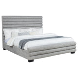 Patricia Beds