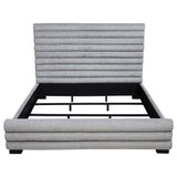 Patricia Beds