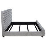 Patricia Beds