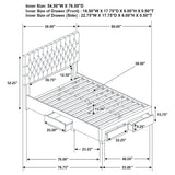 Soledad Beds