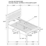 Soledad Beds