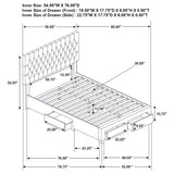 Soledad Beds