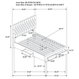 Soledad Beds