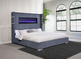 Tisdall Beds