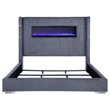 Tisdall Beds