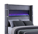 Tisdall Beds