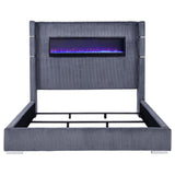 Tisdall Beds