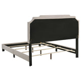 Tamarac Beds