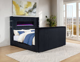 Tisdall Beds