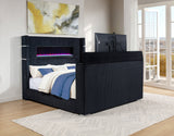 Tisdall Beds