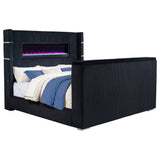 Tisdall Beds