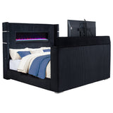 Tisdall Beds