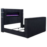 Tisdall Beds