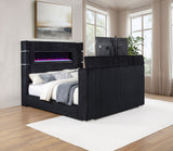 Tisdall Beds