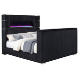 Tisdall Beds