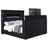 Tisdall Beds