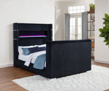 Tisdall Beds