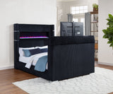Tisdall Beds