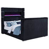 Tisdall Beds