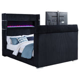 Tisdall Beds