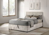 Reeves Beds