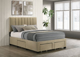 Wheatland Beds