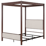 Zimmerlee Beds