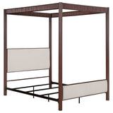 Zimmerlee Beds