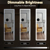 Damon Full Length Mirror