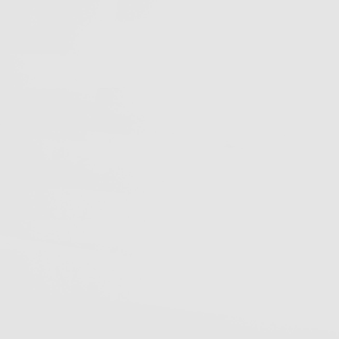 Frankie Wood Twin Over Twin Bunk Bed