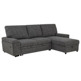 Demko Sleeper Sectional Sofa with Speaker and Storage Chaise Brown
