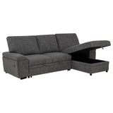 Demko Sleeper Sectional Sofa with Speaker and Storage Chaise Brown