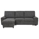Demko Sleeper Sectional Sofa with Speaker and Storage Chaise Brown