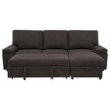 Demko Sleeper Sectional Sofa with Speaker and Storage Chaise Brown