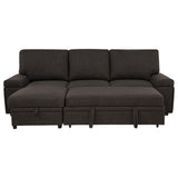 Demko Sleeper Sectional Sofa with Speaker and Storage Chaise Brown