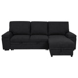 Demko Sleeper Sectional Sofa with Speaker and Storage Chaise Brown