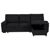 Demko Sleeper Sectional Sofa with Speaker and Storage Chaise Brown