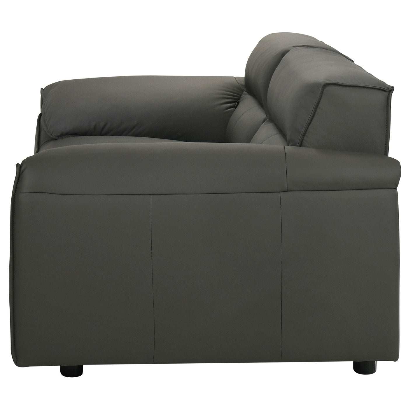 Buxton Top Grain Leather Upholstered Loveseat