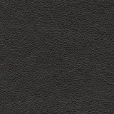 Amiata Accent Chairs