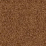Carianna Sleeper Sofas