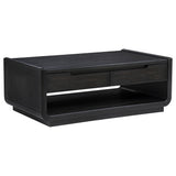 Leandro 2-Drawer Wood Cocktail Coffee Table