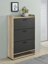 Denia 3-tier Engineered Wood Shoe Cabinet