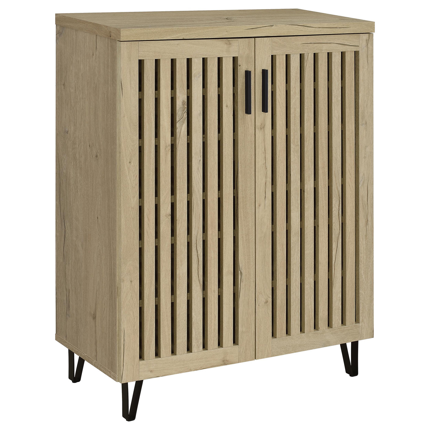 Brixton 2-Door Entryway Shoe Storage Cabinets