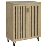 Brixton 2-Door Entryway Shoe Storage Cabinets