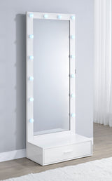Spector Floor Mirrors
