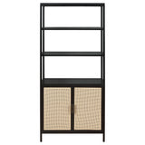 Amherst 3-shelf Radio Weave Cane Metal Accent Cabinet