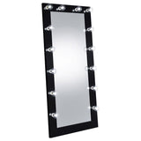 Zayan LED Floor Mirror - Black